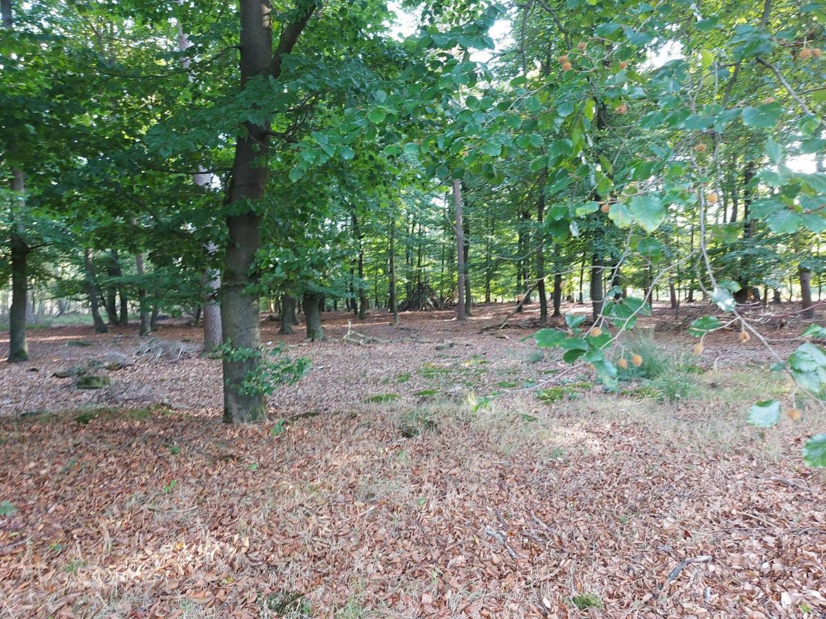 Chalet Wanama. Gelegen Op Het Vakantiepark Het Lierderholt Op De Veluwe. Villa Beekbergen Ngoại thất bức ảnh