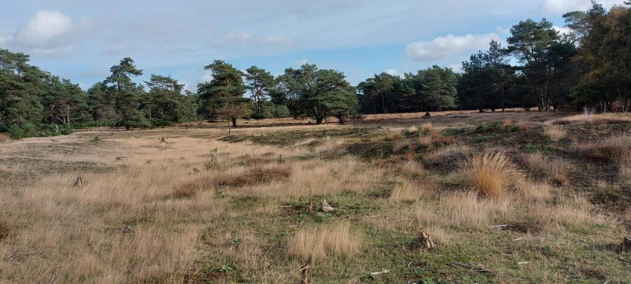 Chalet Wanama. Gelegen Op Het Vakantiepark Het Lierderholt Op De Veluwe. Villa Beekbergen Ngoại thất bức ảnh